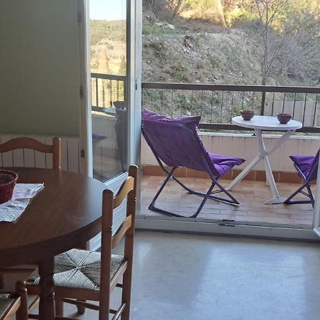 Studio Phannie Renove 50M Cures Amélie-les-Bains-Palalda Εξωτερικό φωτογραφία