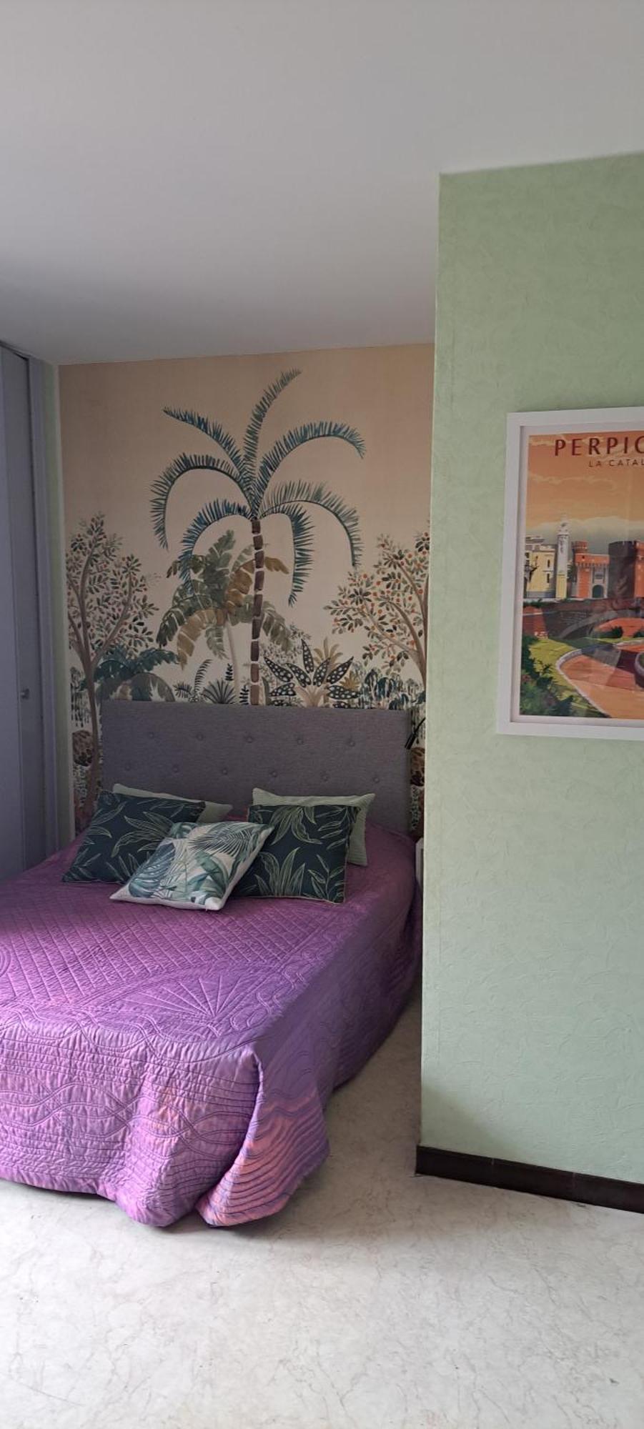 Studio Phannie Renove 50M Cures Amélie-les-Bains-Palalda Εξωτερικό φωτογραφία