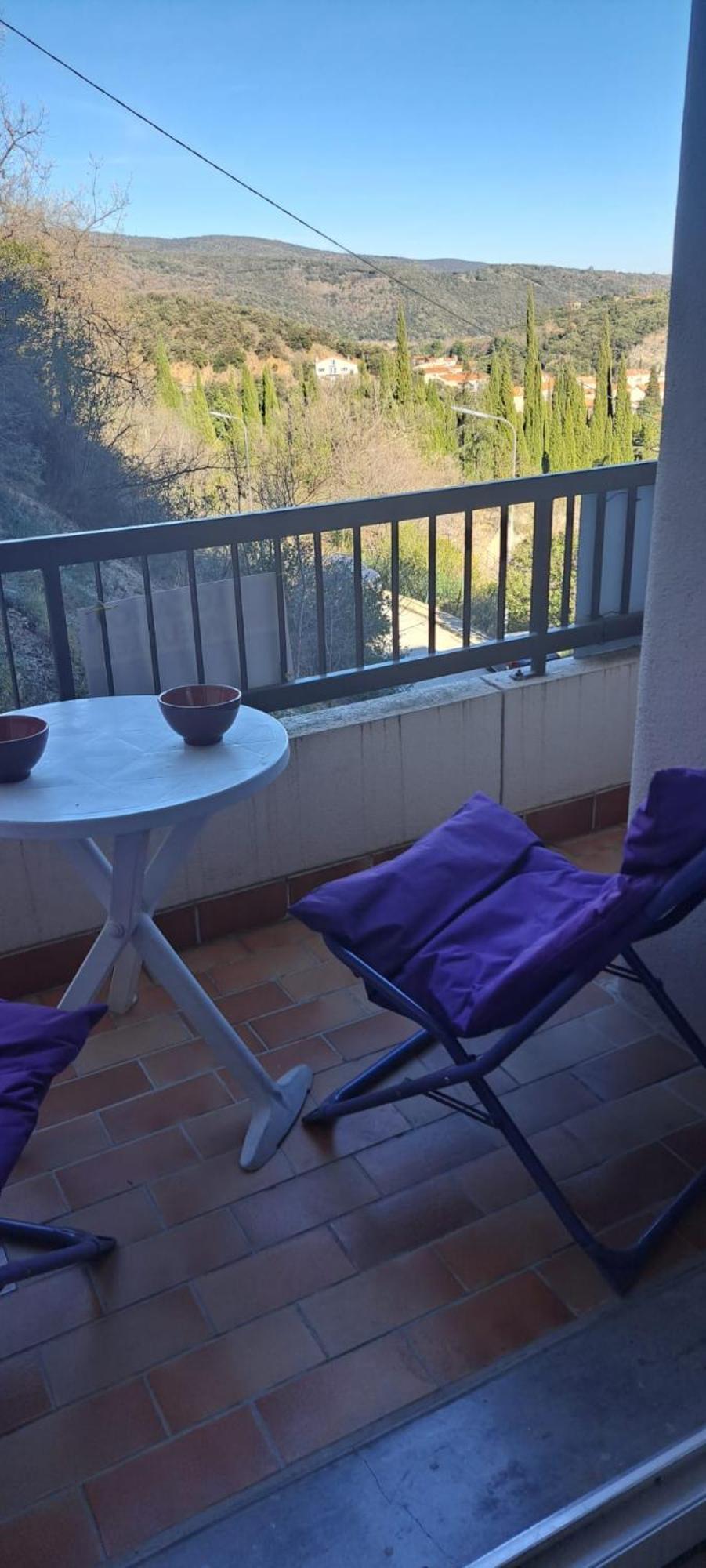 Studio Phannie Renove 50M Cures Amélie-les-Bains-Palalda Εξωτερικό φωτογραφία