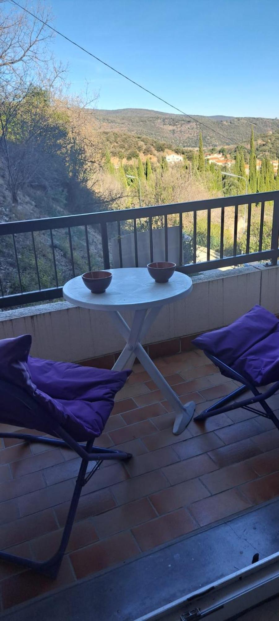 Studio Phannie Renove 50M Cures Amélie-les-Bains-Palalda Εξωτερικό φωτογραφία